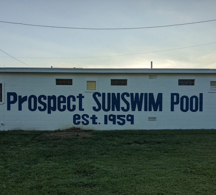 prospect-sunswim-pool-photo